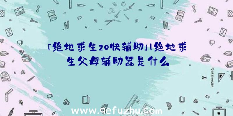 「绝地求生20快辅助」|绝地求生父母辅助器是什么